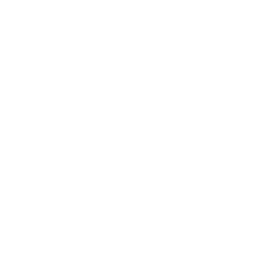 white papercut snowflake